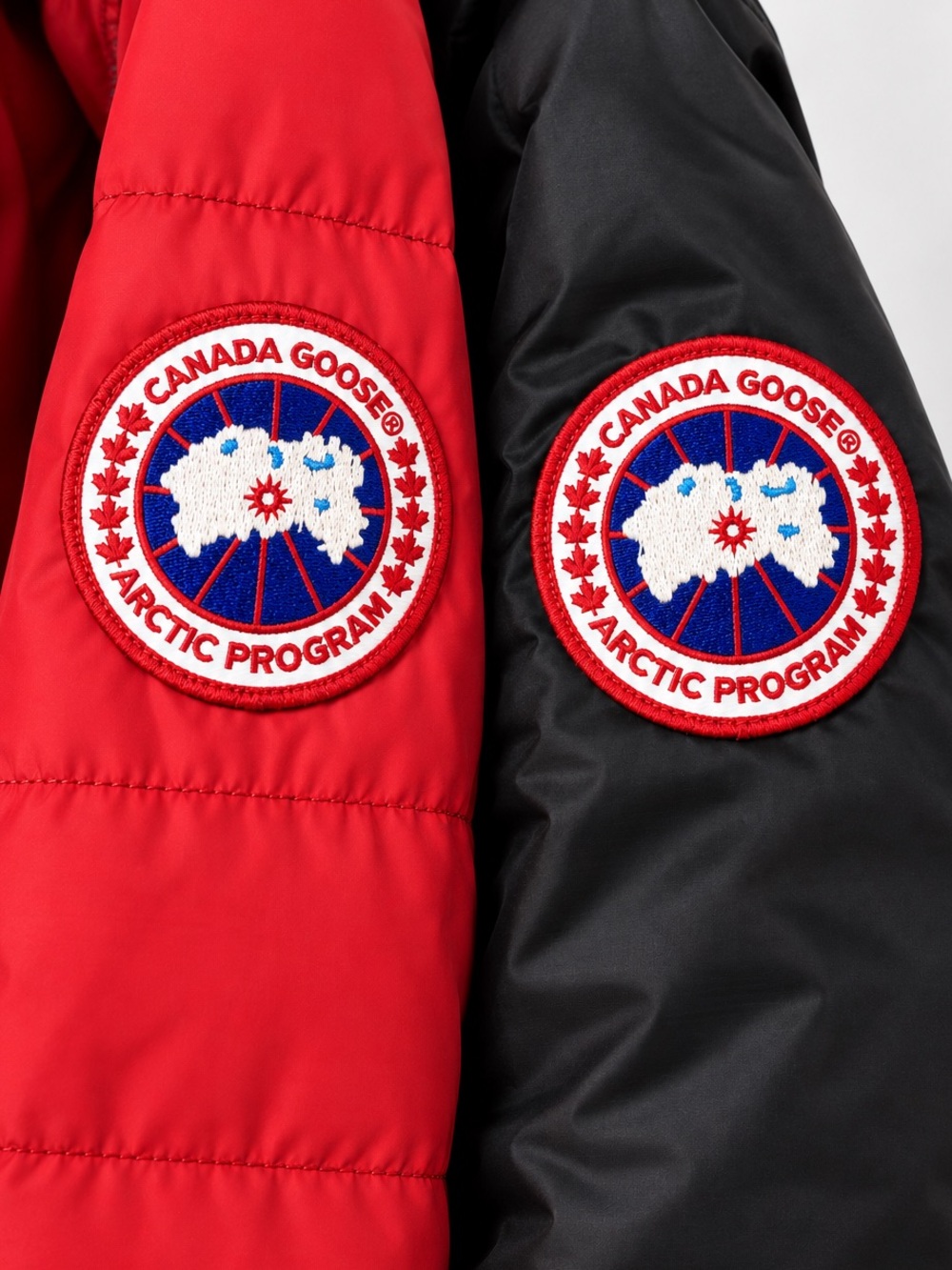 CANADA GOOSE BUNDE (WITH ISSUES)